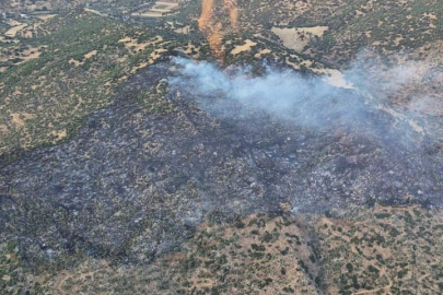 Aydın Nazilli’de makilik ve zirai alan yangını kontrol altına alındı