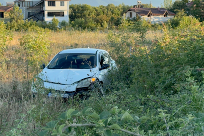 Düzce'de büyükbaş hayvana çarpmamak için manevra yapınca aracı şarampole uçtu
