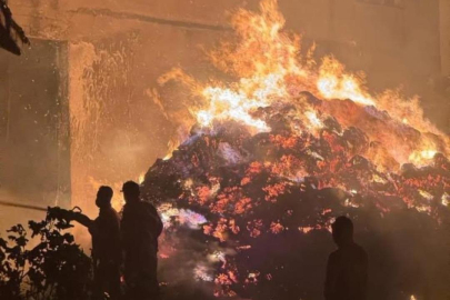 Evler kül oldu, çok sayıda hayvan çığlıklar içinde can verdi!