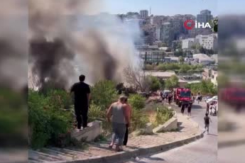 İstanbul Kağıthane'de ağaçlık alanda çıkan yangın söndürüldü