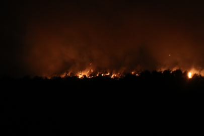 Sakarya'daki orman yangınında 28'inci saat