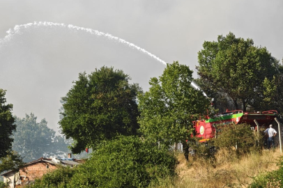 Tekirdağ'da anız yangını ormanlık alana sıçradı