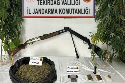 Tekirdağ'da jandarmadan 3 ayrı uyuşturucu operasyonu