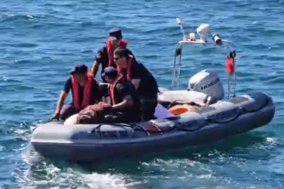 Zonguldak'ta denizde bulunan kadın cesedinin kimliği belli oldu