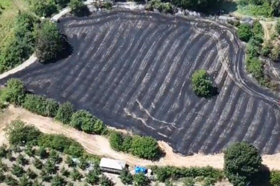 Bursa'da anız yangını; 30 dönüm alan zarar gördü!