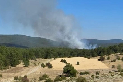 Eskişehir'de orman yangını