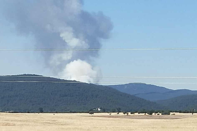 Eskişehir'de orman yangını başladı