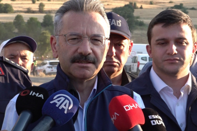 Eskişehir Valisi Aksoy: Yangında 60 hektar alan zarar gördü