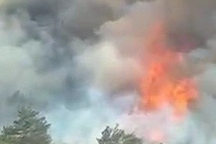 Karabük'te orman yangını