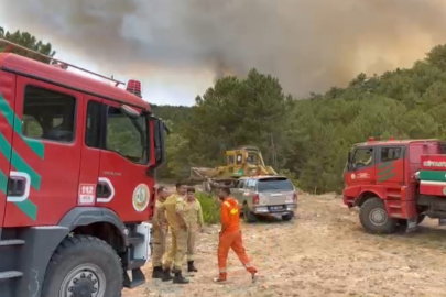Orman Bölge Müdürü yangının ortasında kaldı