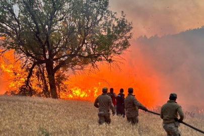 Çıkan 61 orman yangınıyla ilgili 4 şüpheli tutuklandı