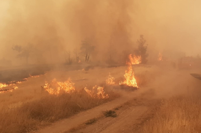 Denizli Çal’da çıkan orman yangını söndürüldü