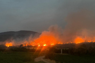 Eskişehir'deki orman yangınında kahreden haber! 5'i orman işçisi, 5'i AKUT çalışanı 10 kişi şehit oldu