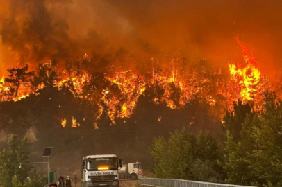 Karabük'te orman yangınında korkutan manzara