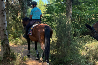 Kocaeli'de atlı jandarma timleri orman yangınlarına ve boğulmalara karşı görevde