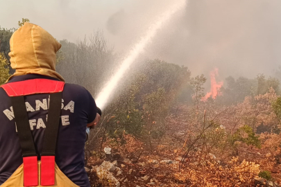 Manisa'da orman yangını