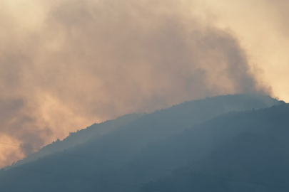 Sakarya'daki orman yangını kısmen kontrol altına alındı