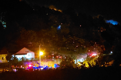 Sakarya'daki yangınla ilgili 1 kişi tutuklandı