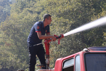 Sakarya'daki yangınlardan 2'si kontrol altında