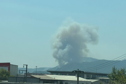 Sakarya Geyve'de ikinci orman yangını çıktı