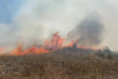 Sakarya Kaynarca'da makilik alanda yangın çıktı