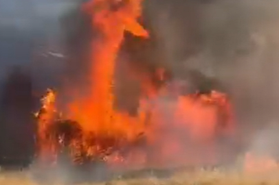 Yalova'da tarlada çıkan yangında yüzlerce saman balyası kül oldu