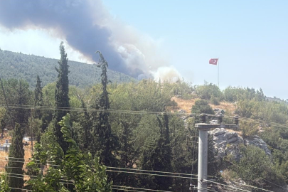 Bilecik’te alevler tavuk çiftliklerine dayandı