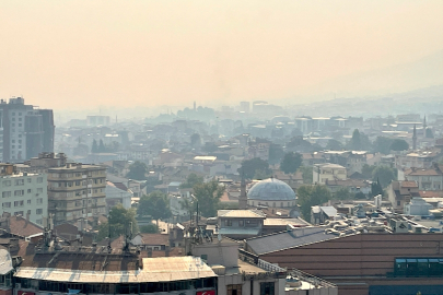 Bilecik'teki orman yangınının dumanı Bursa'ya ulaştı