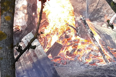 Bolu’da orman yangını başladı