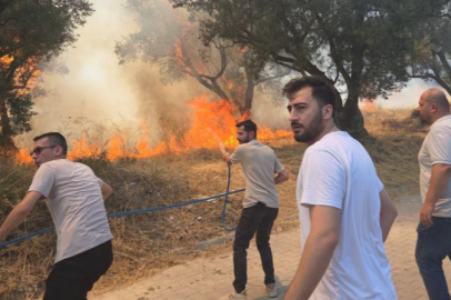 Bursa'da 20 zeytin ağacı yandı! 2 çocuk gözaltında