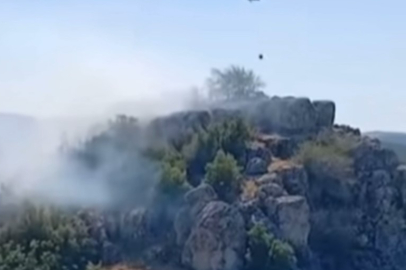 Gaziantep'te makilik ve ormanlık alanda yangın