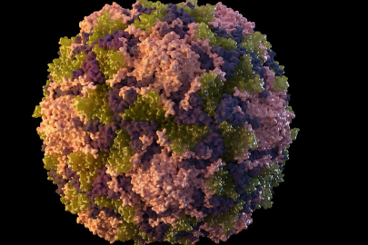 İtalya'da Batı Nil Virüsü vakaları artıyor