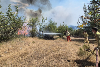 Karabük'teki orman yangınlarını söndürme çalışmaları aralıksız sürüyor