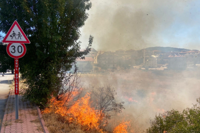 Konya Beyşehir'de alevler bahçelere ulaşmadan söndürüldü