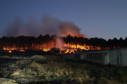 Balıkesir Savaştepe'de çıkan orman yangınına müdahale sürüyor