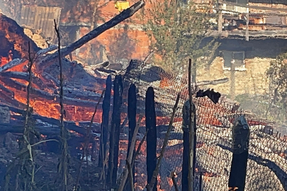 Bartın'da 2 saatte 8 yangın çıktı