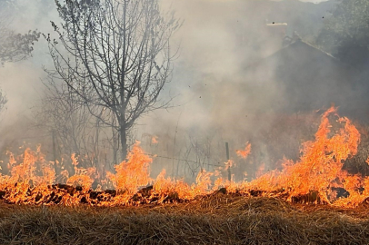 Bolu’da faciadan dönüldü: Alevler evlerin dibine kadar ulaştı