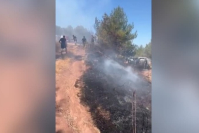 Bursa'da zeytinlikte yangın çıktı!