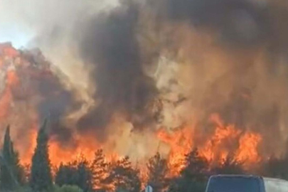 İzmir'de orman yangını