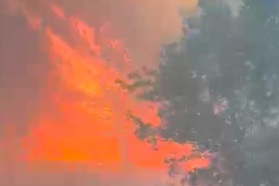 Manisa'da orman yangını