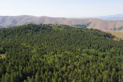 Sivas’ta ormanlara giriş yasaklandı