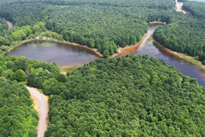 Yalova'da ormanlara girişler yasaklandı