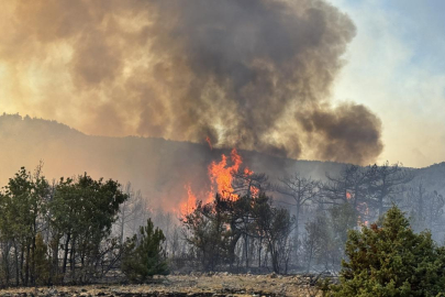 Yangınla savaşta görünmeyen tehlike: Alev kırbacı