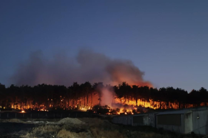 Balıkesir'deki orman yangınıyla ilgili 2 tutuklama