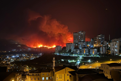Bursa'da orman yangını faciası! Pek çok noktada alevler yükseldi...