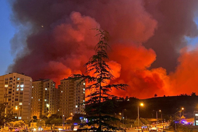 Bursa’da orman yangını faciası! Tahliye başladı, Büyükşehir'den açıklama geldi