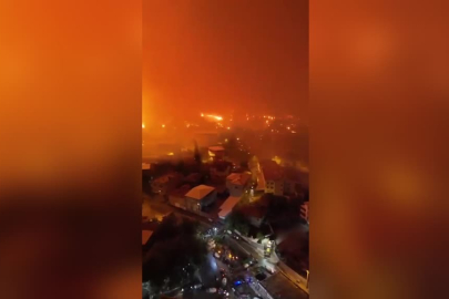 Milletvekilleri Bursa'daki orman yangını bölgesinde!