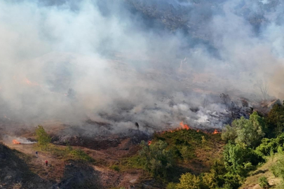 Sakarya'daki orman yangını kontrol altında