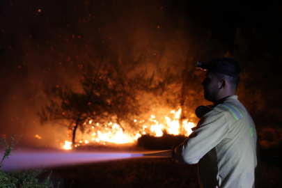 AFAD'dan Bursa'daki orman yangınlarına ilişkin açıklama