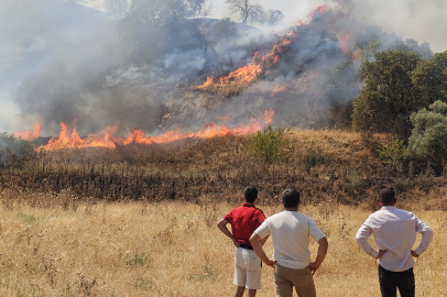 Aydın Nazilli'de zirai alanda çıkan yangın kontrol altına alındı